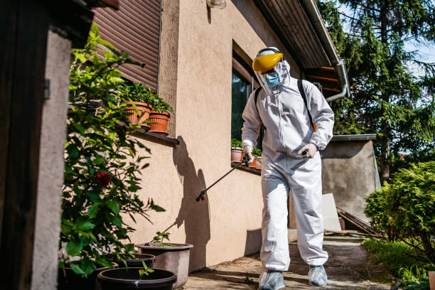 Best Mosquito Control Services  in Mahanoy City, PA